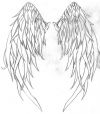 Angel wings back tattoos